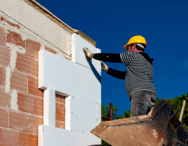 Best Insulation Contractor Near Me  in Robinson, TX