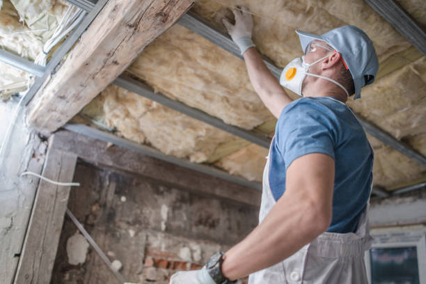 Best Wall Insulation Contractor  in Robinson, TX