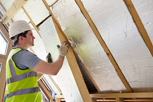 Best Best Insulation Companies  in Robinson, TX