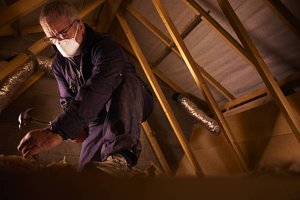 Best Spray Foam Insulation  in Robinson, TX